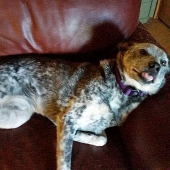 Meet your Posher, Pamela - Picture 1 of 1